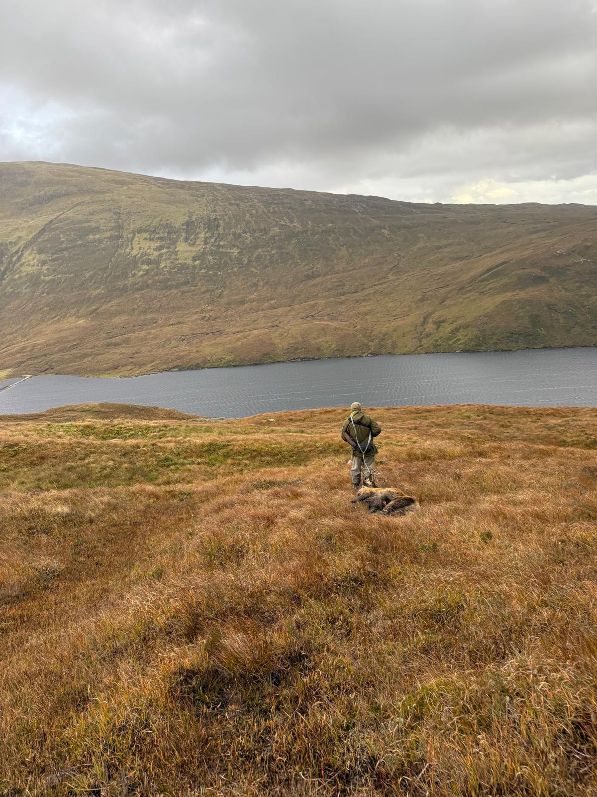 UK Hunting Trips
