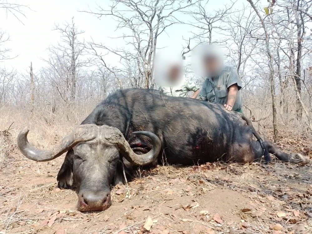Hunt Big Game