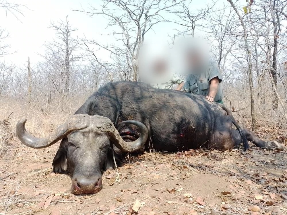 Hunt Big Game