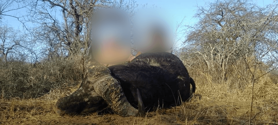 Difference Between Trophy and Meat Hunting