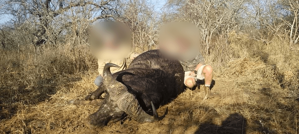 First-Time Buffalo Hunters