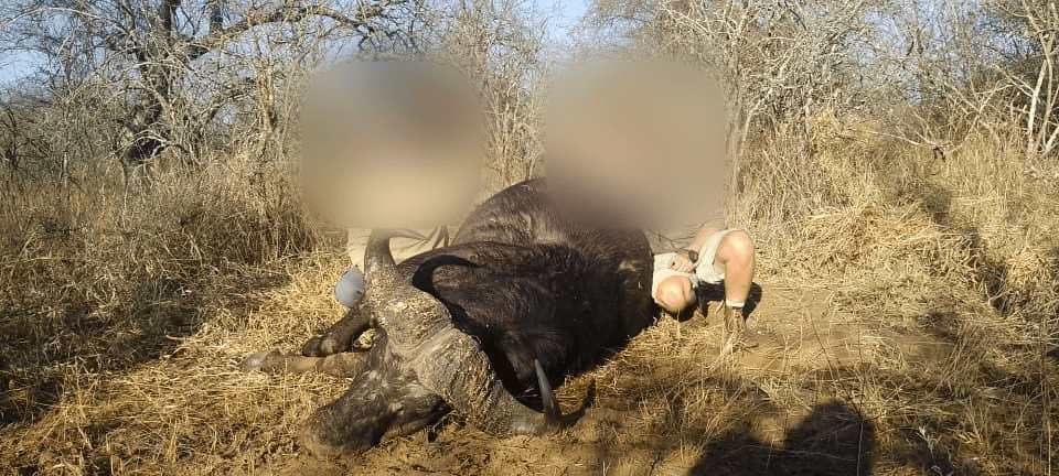 First-Time Buffalo Hunters