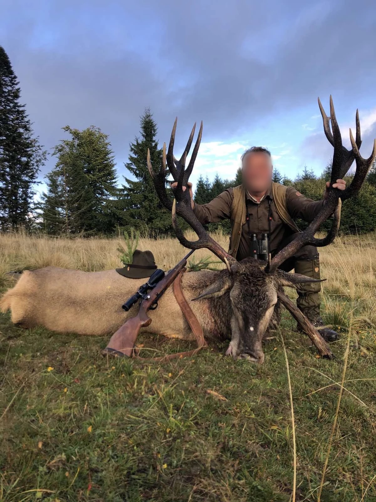 Red stag, Hungary