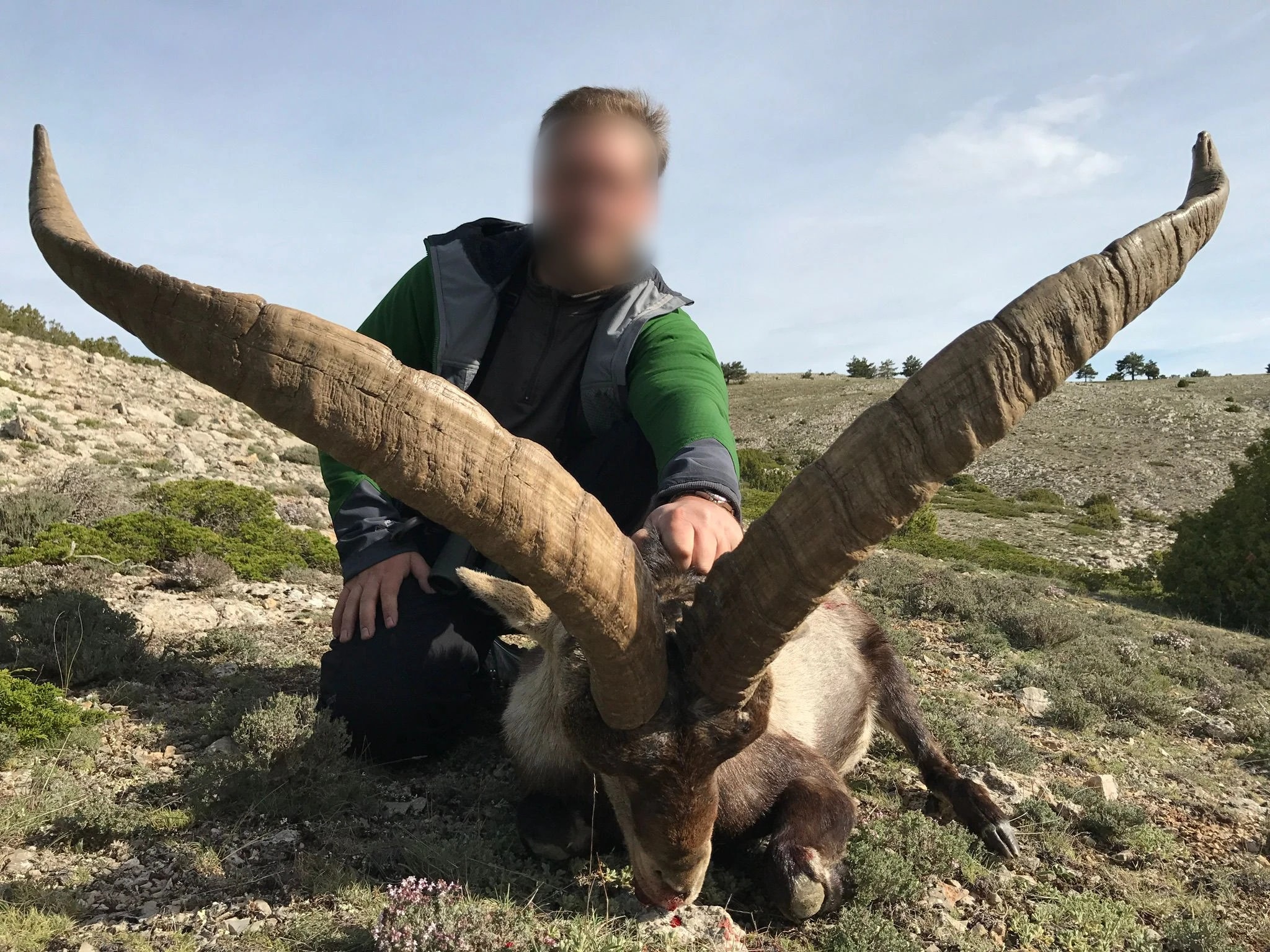 Hunter kneeling behind a Spanish ibex with wide, sweeping horns, Spain