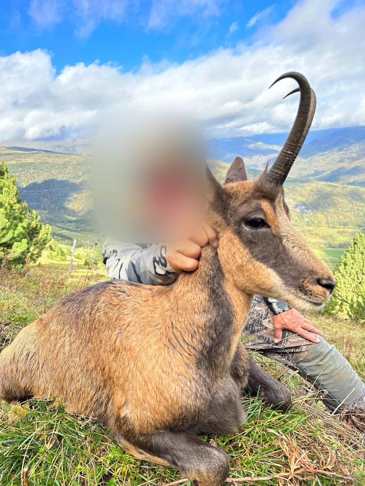 Spain Ibex Hunting Trips