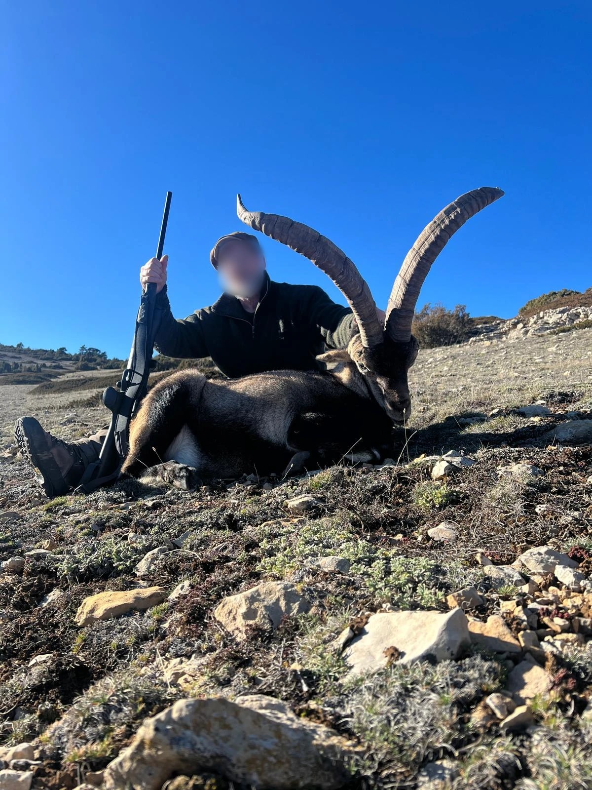 Ibex, Spain