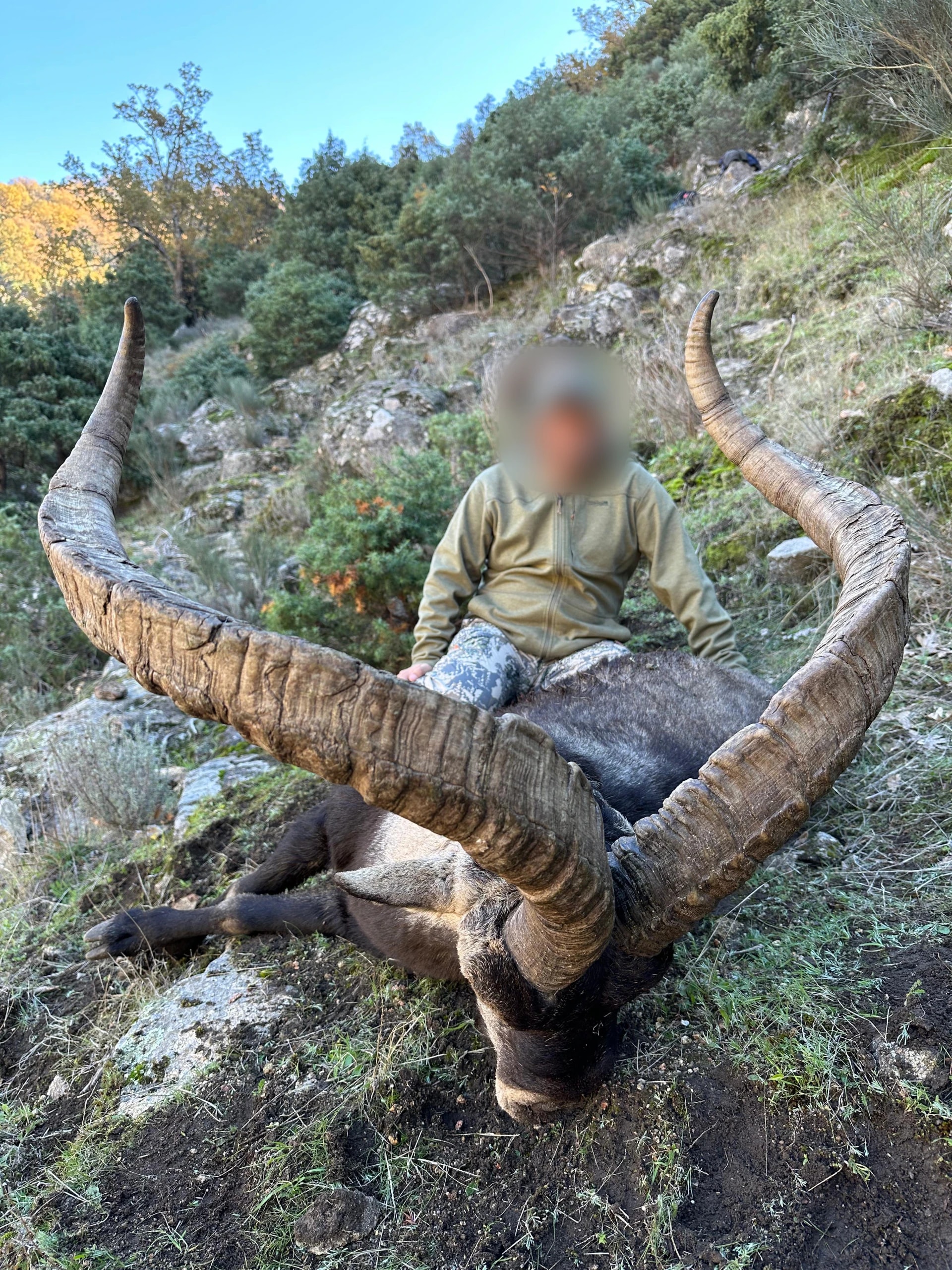 Ibex, Spain