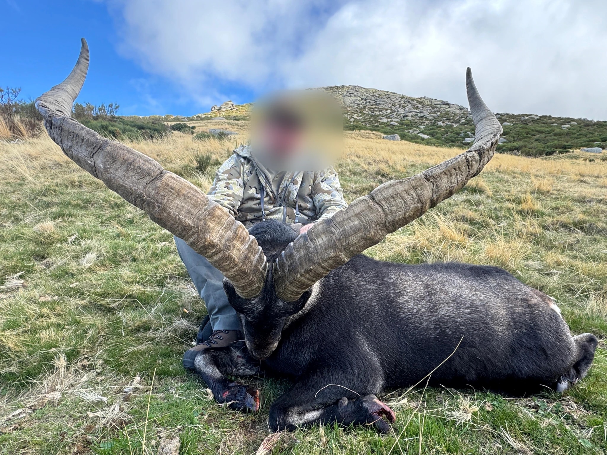 Ibex, Spain