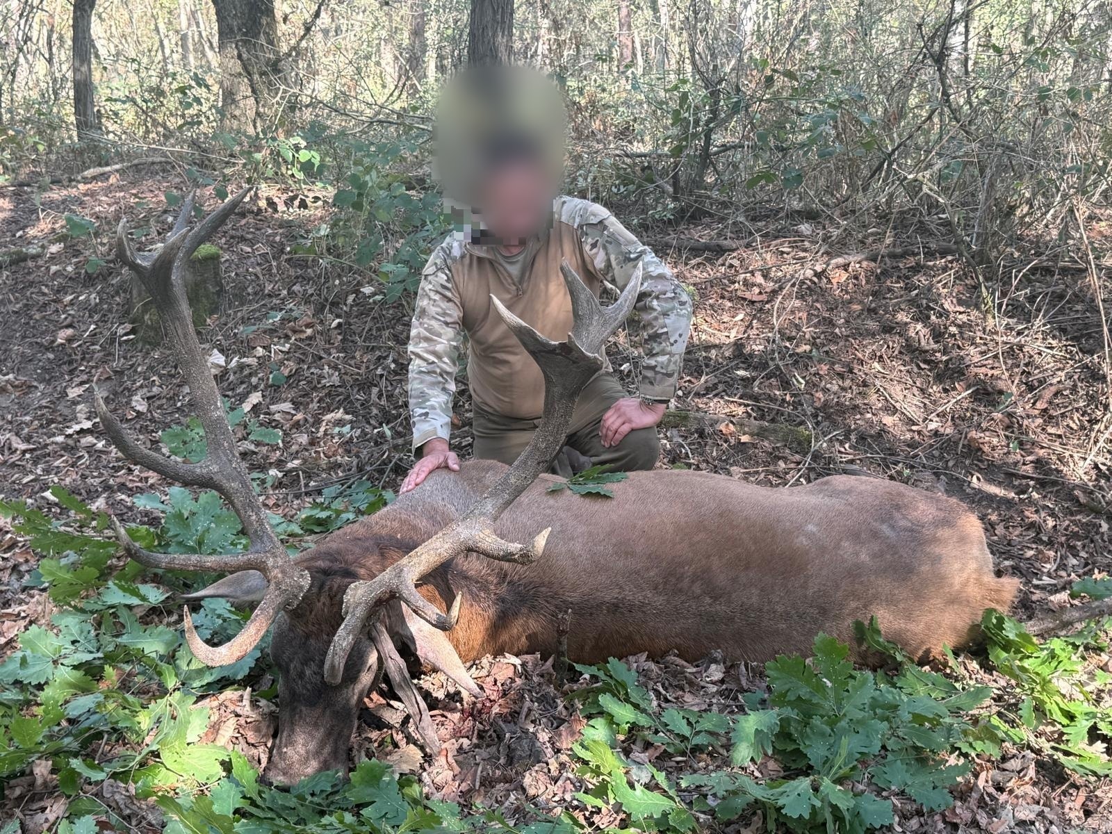 licence to hunt abroad