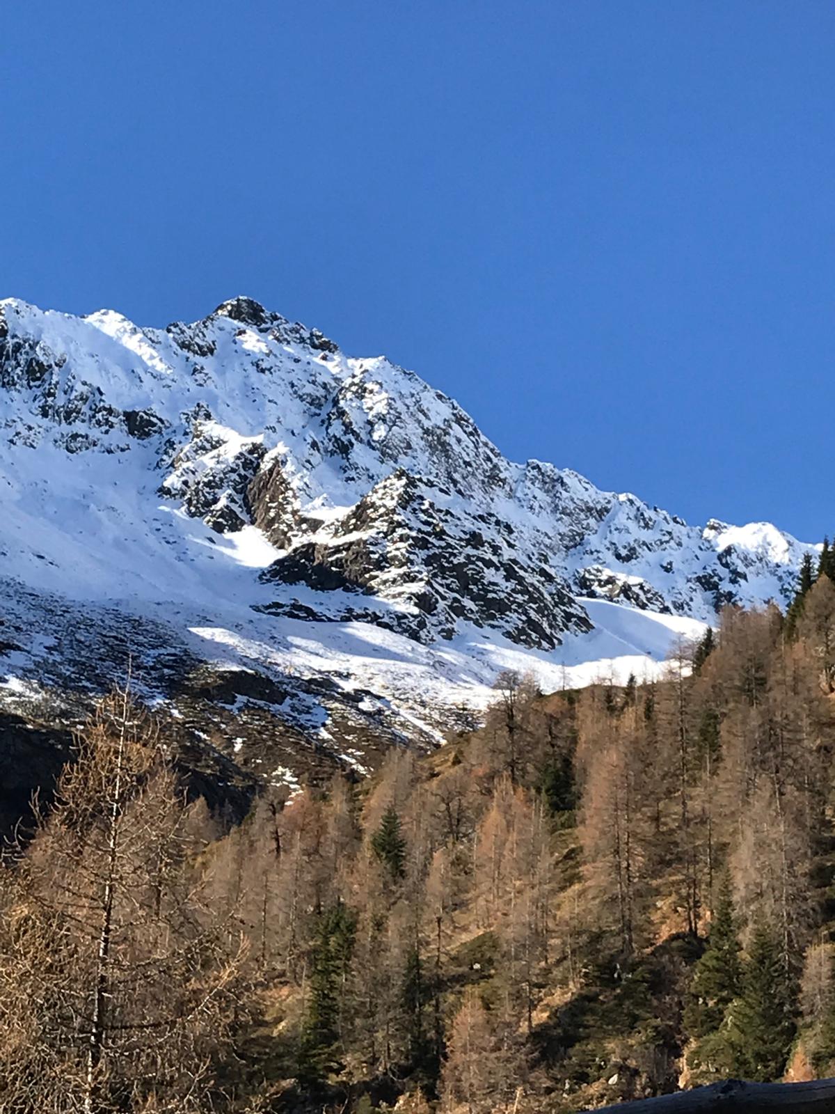 Snow on the peaks above larch woods in autumn, Austria