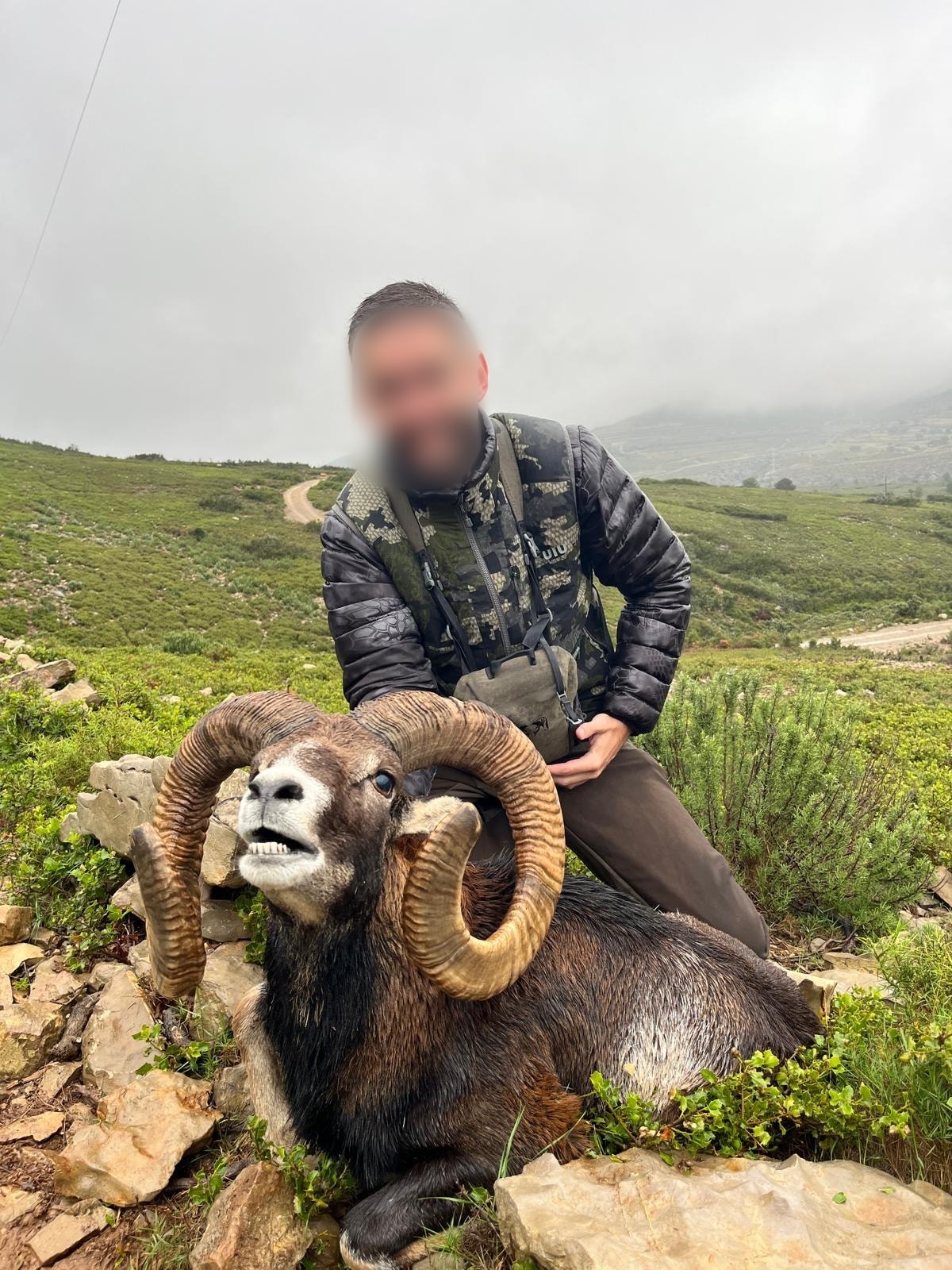 Hunter with a mouflon ram on the mountain