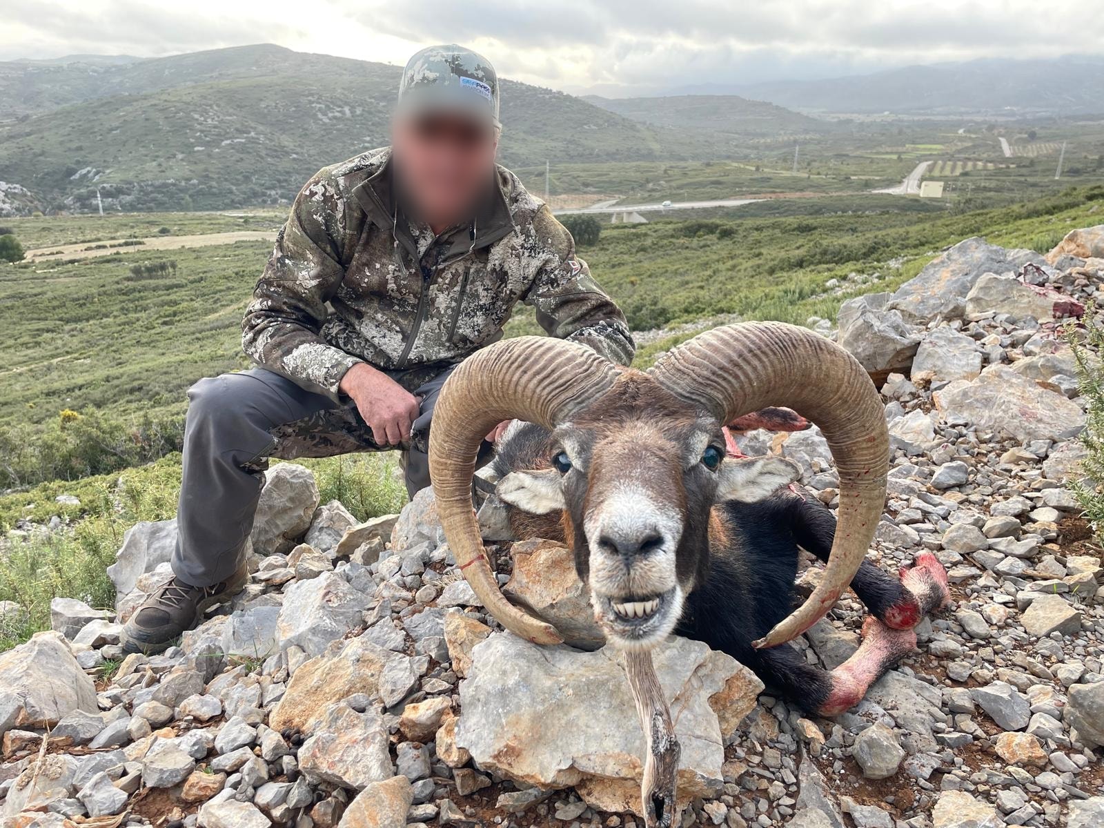 Hunter with a mouflon ram among the rocks