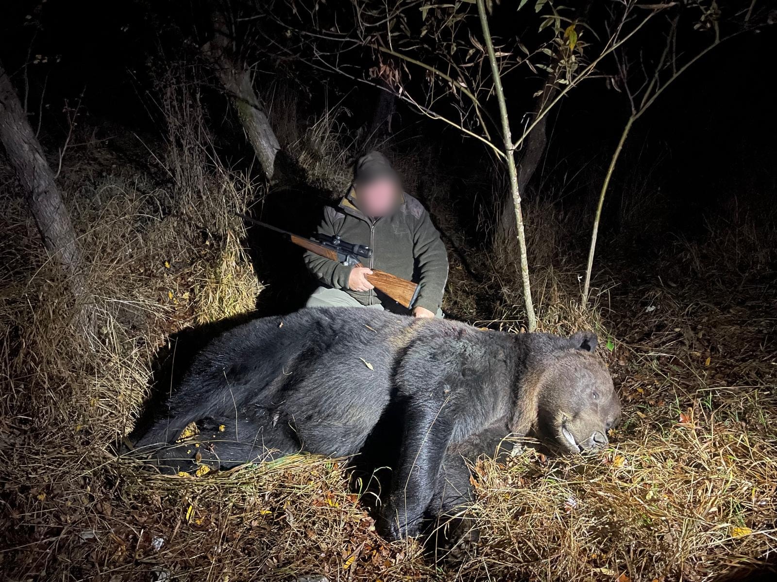 Hunter with a rifle beside a large brown bear at night, Romania
