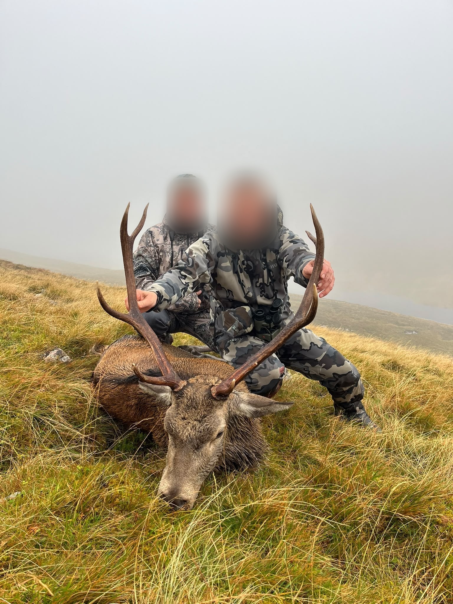 Two stalkers with a red stag on a misty hillside, Scotland