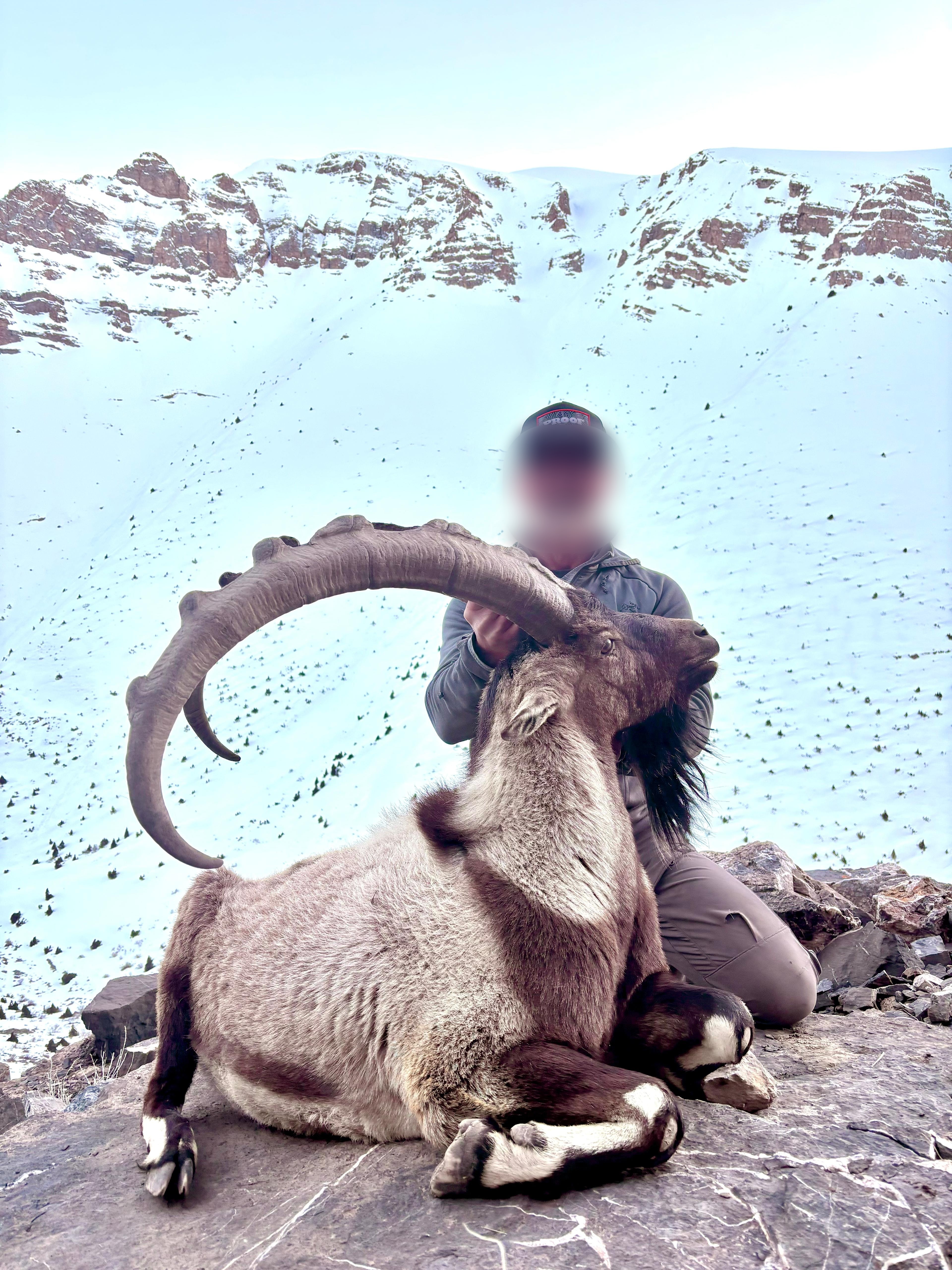 Hunter with a bezoar ibex below snow-covered peaks, Turkey