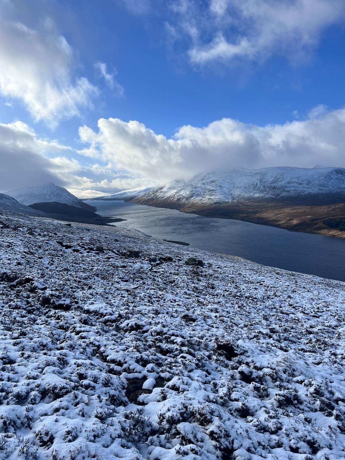 WhatsApp Image 2026-03-31 at 20.36.49