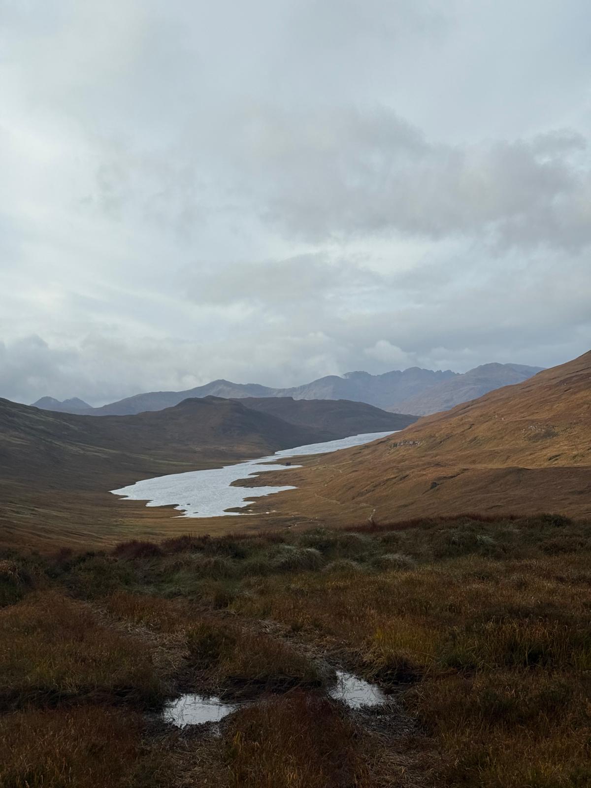 WhatsApp Image 2026-04-02 at 12.29.29