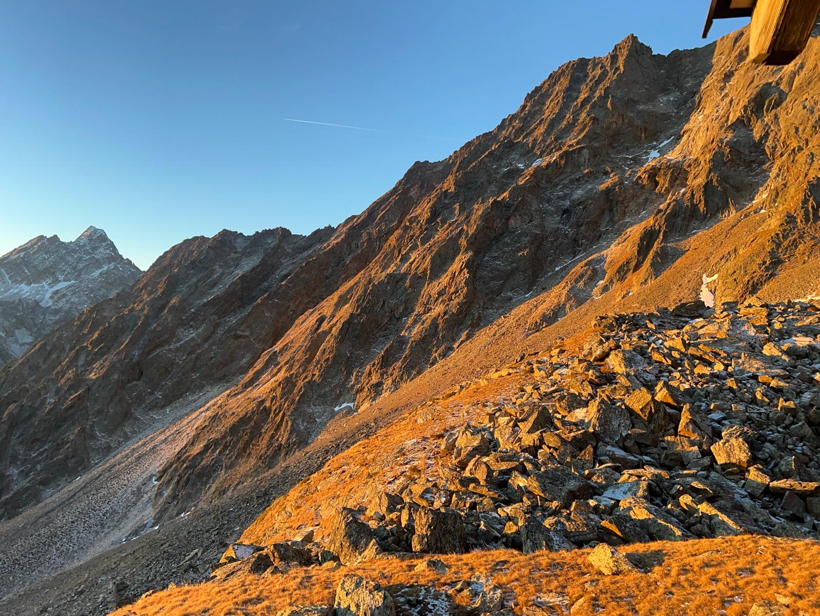 WhatsApp Image 2026-04-08 at 15.16.27