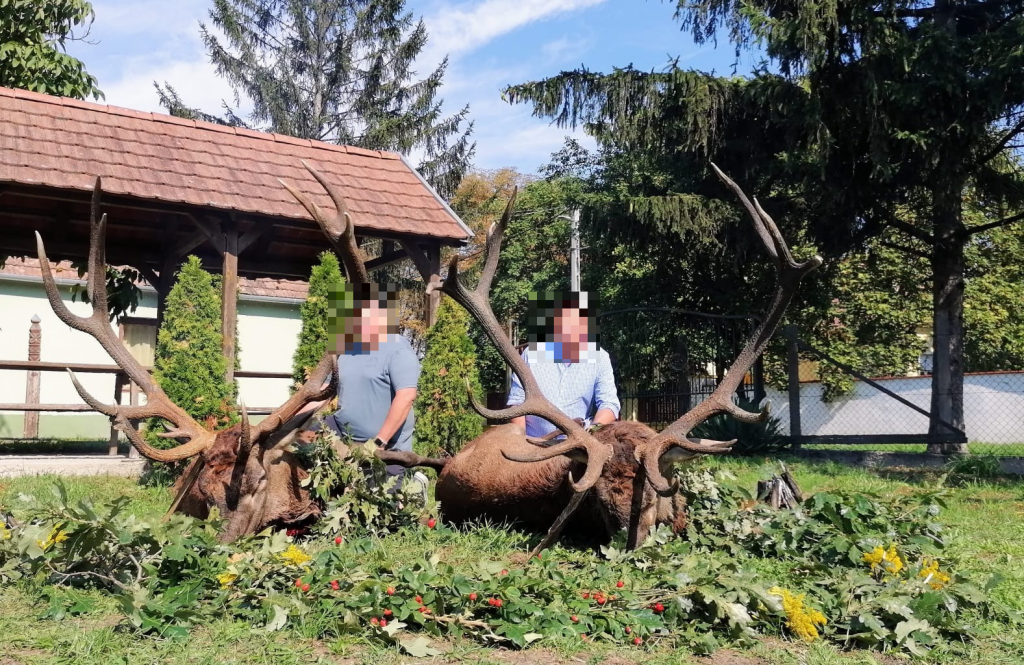 Hunt Red Stags in Europe
